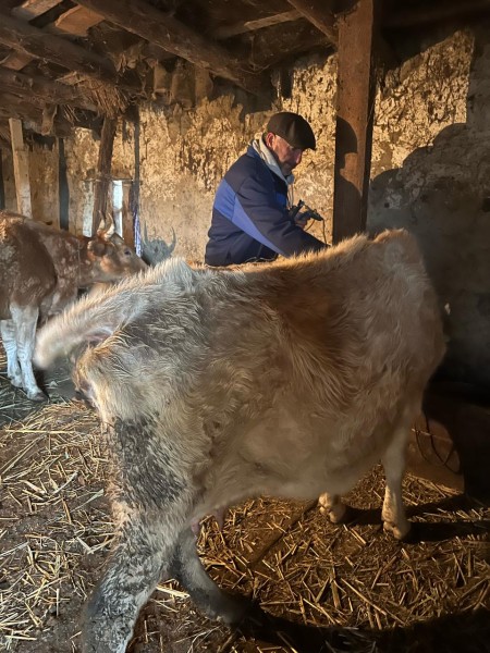 Ветеринарные мероприятия в Чародинском районе