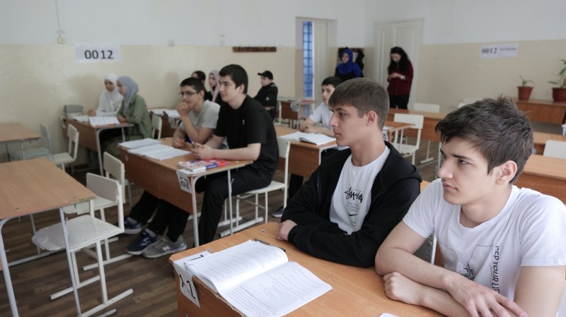 «Безопасное соседство с животными без владельцев»