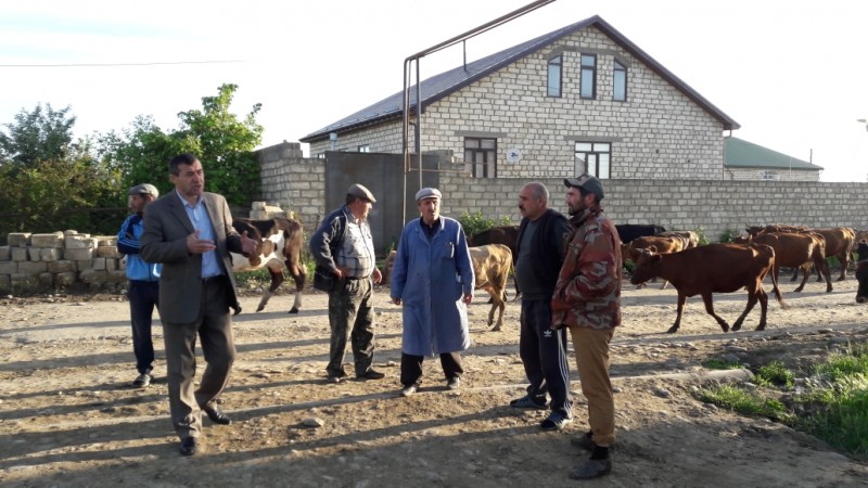 Ветеринарные мероприятия в Дербентском районе