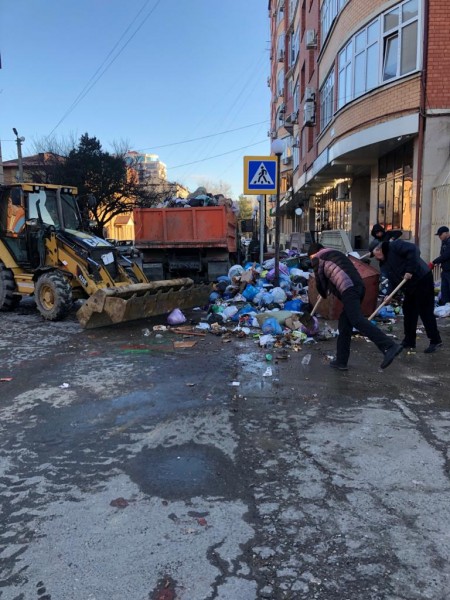 Ветеринары на субботнике!