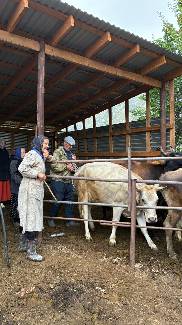 Ветеринарные мероприятия в Чародинском районе