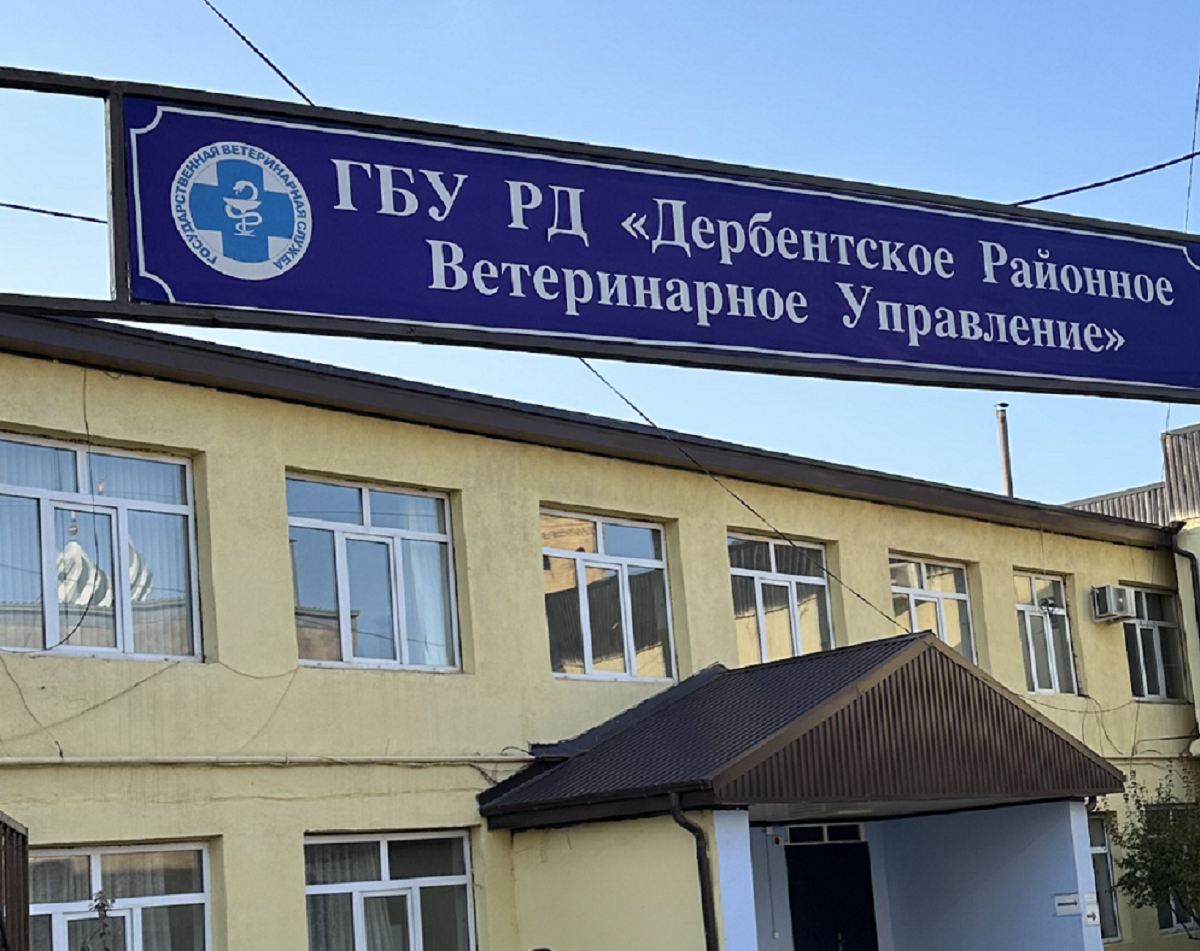 В здании Дербентского ветуправления проводятся ремонтные работы