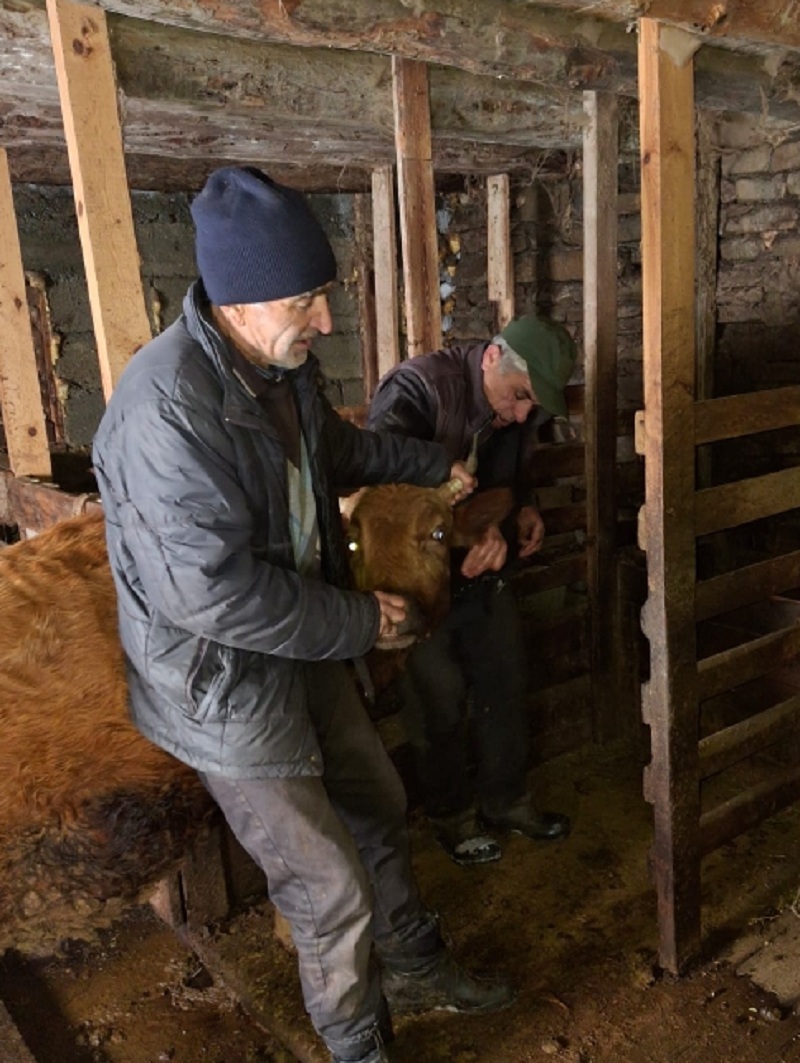 Ветеринарные мероприятия в Бежтинском участке