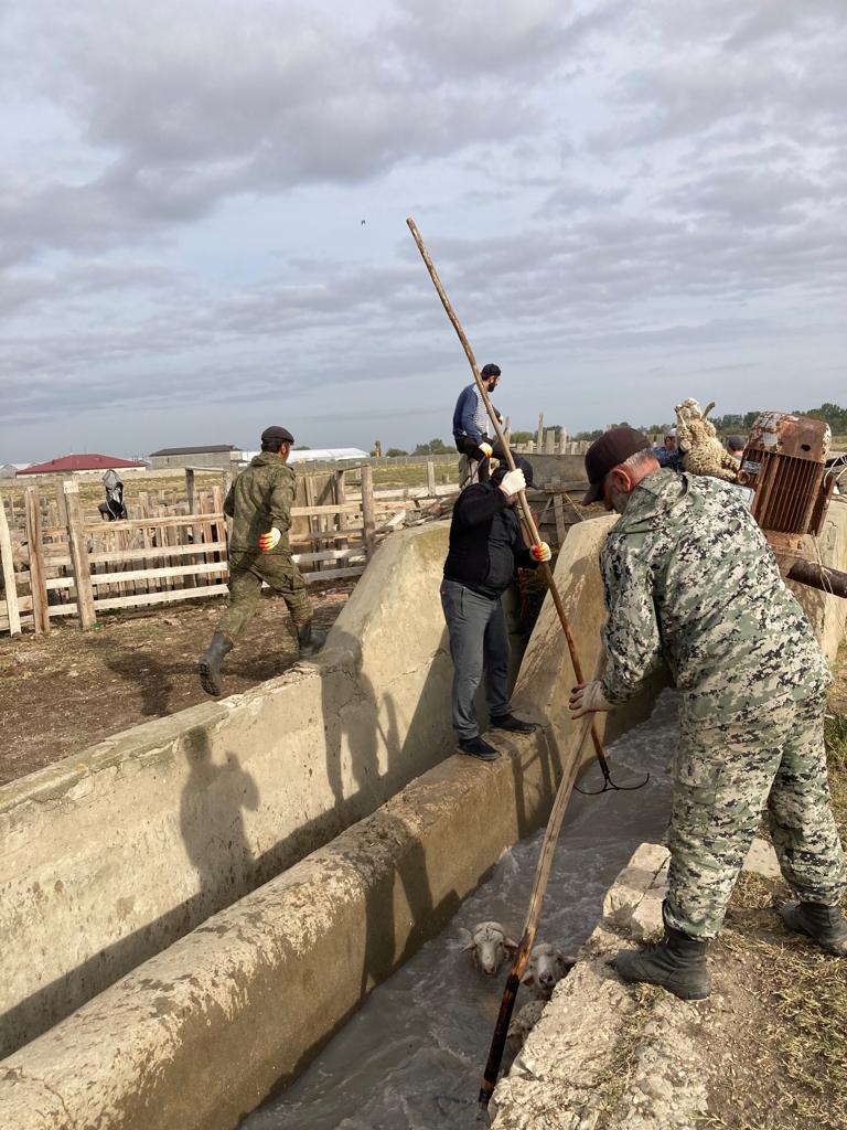 В республике идет перегон скота на зимние пастбища