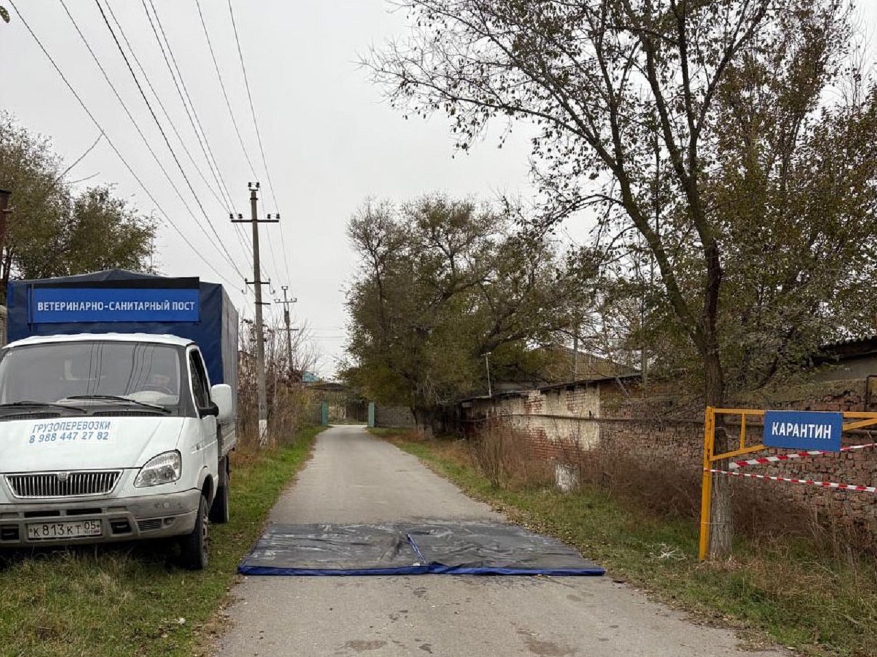 Учения по локализации и ликвидации очага оспы МРС проведены в Дагестане