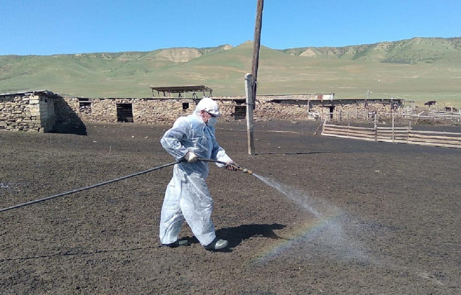 Итоги работы ГБУ РД «Ветеринарная дезинфекция» за 2025 год