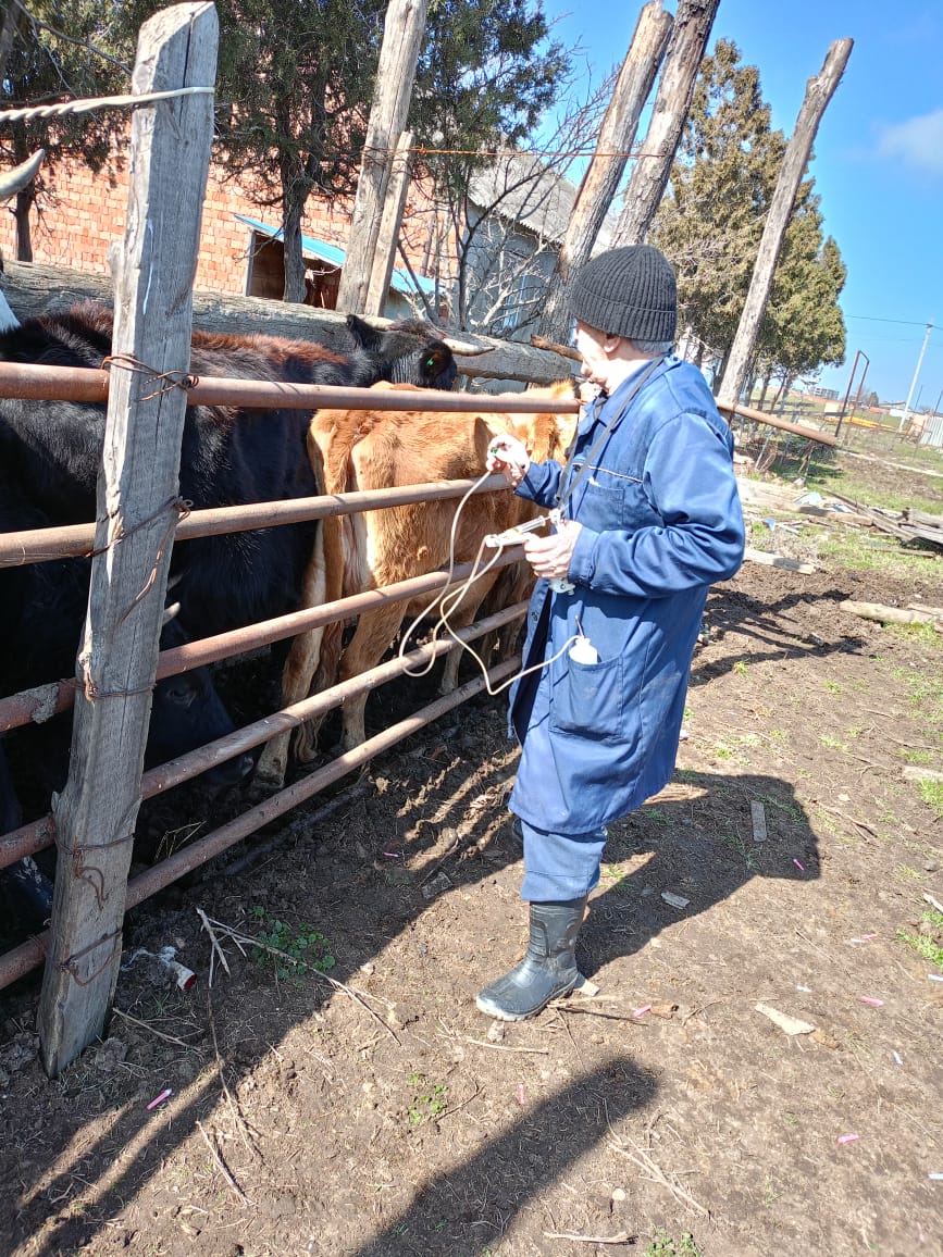 Ветеринарные мероприятия в Каспийске