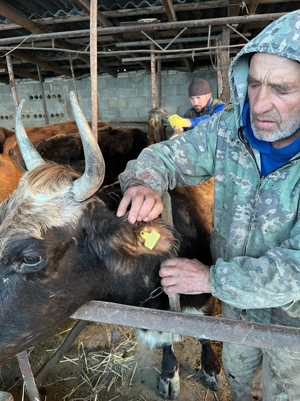 Ветеринарные мероприятия в Сергокалинском  районе