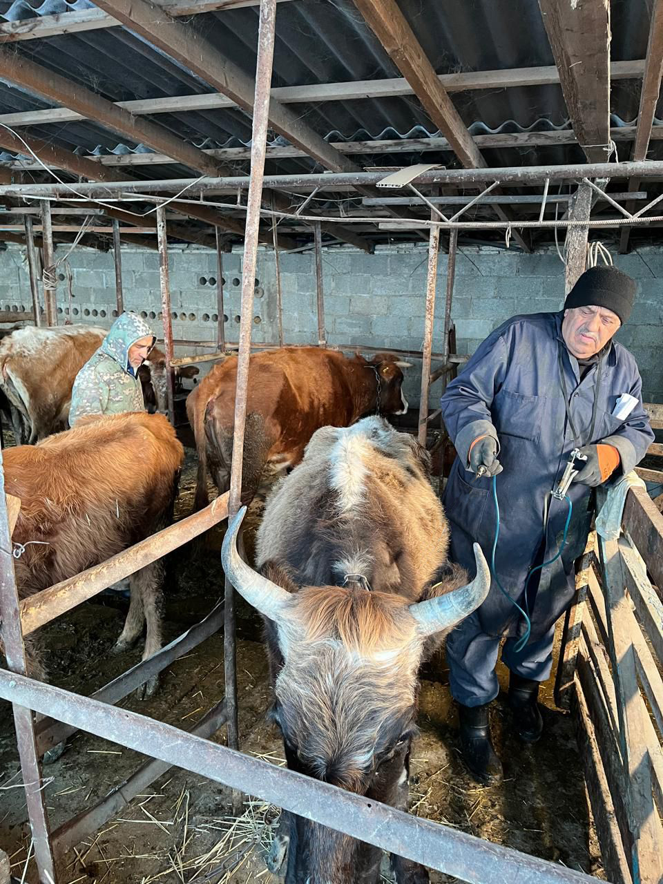 Ветеринарные мероприятия в Сергокалинском  районе