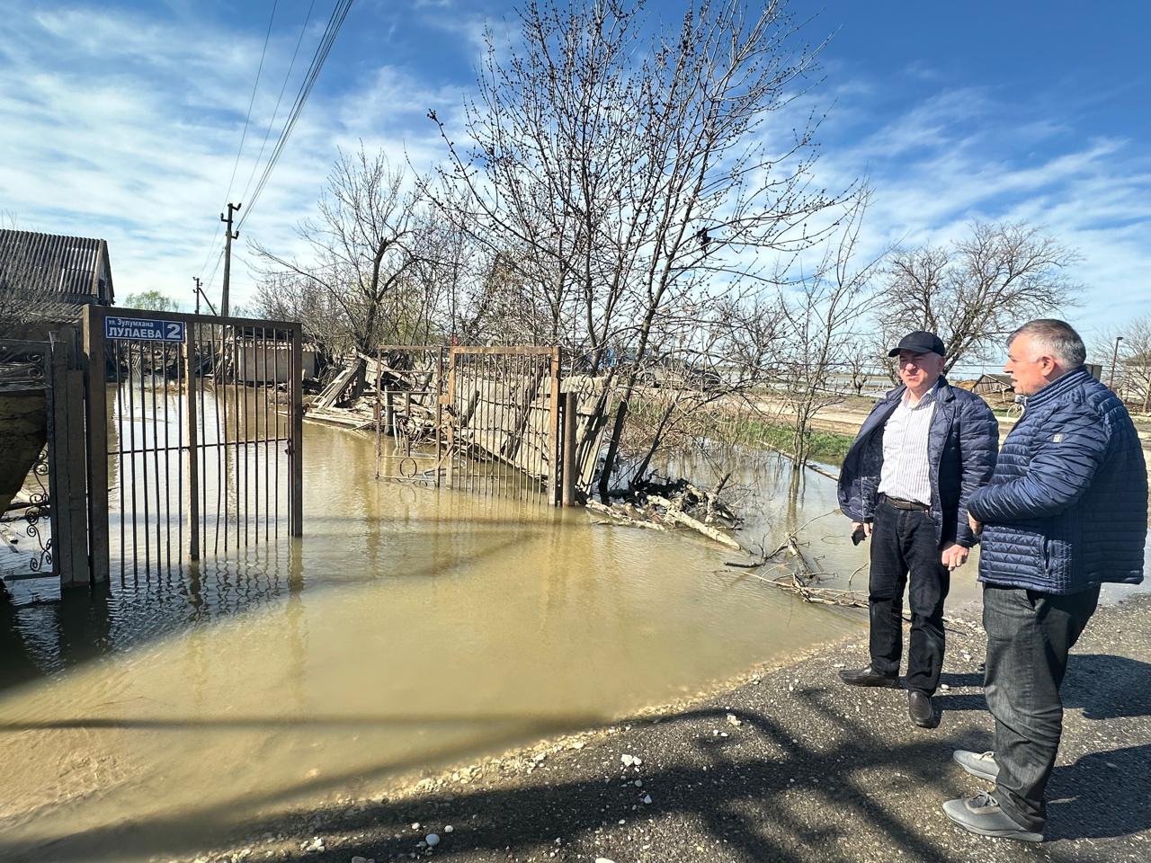 Магомед Шапиев осмотрел ход работ по сбору и вывозу павших животных