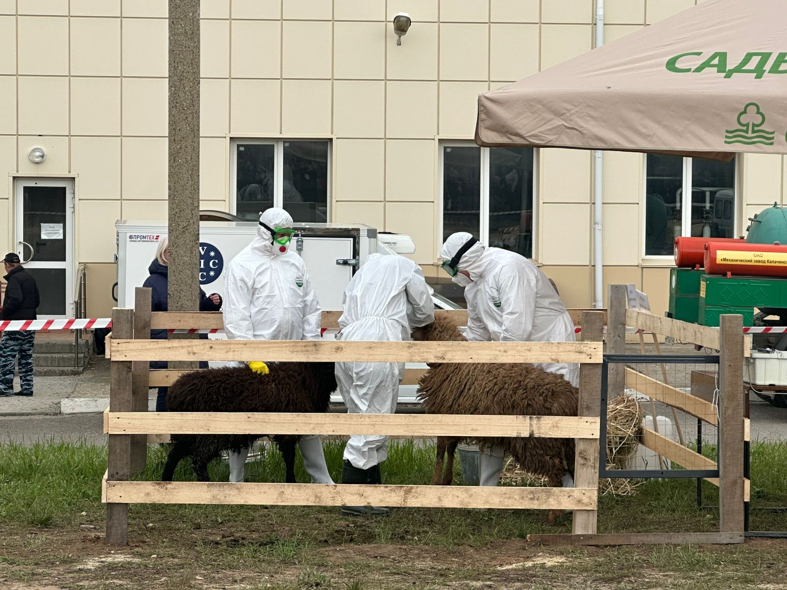 В Волгограде прошли межрегиональные учения по ликвидации очага оспы овец и коз